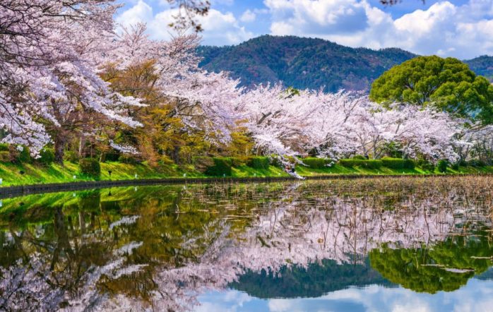Aérial hamac Yoga S’assouplir et se détendre dans les airs… avec le Aérial hamac yoga Mélange yoga et tissu aérien, une discipline acrobatique qui nous vient tout droit du cirque. [&hellip;]